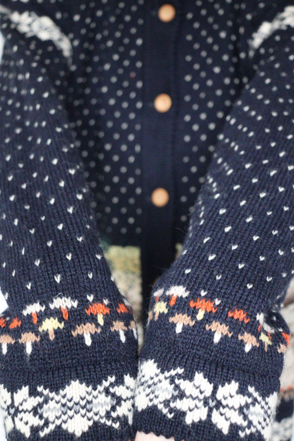 The Forest Moose - vintage novelty cardigan - S up to M/L