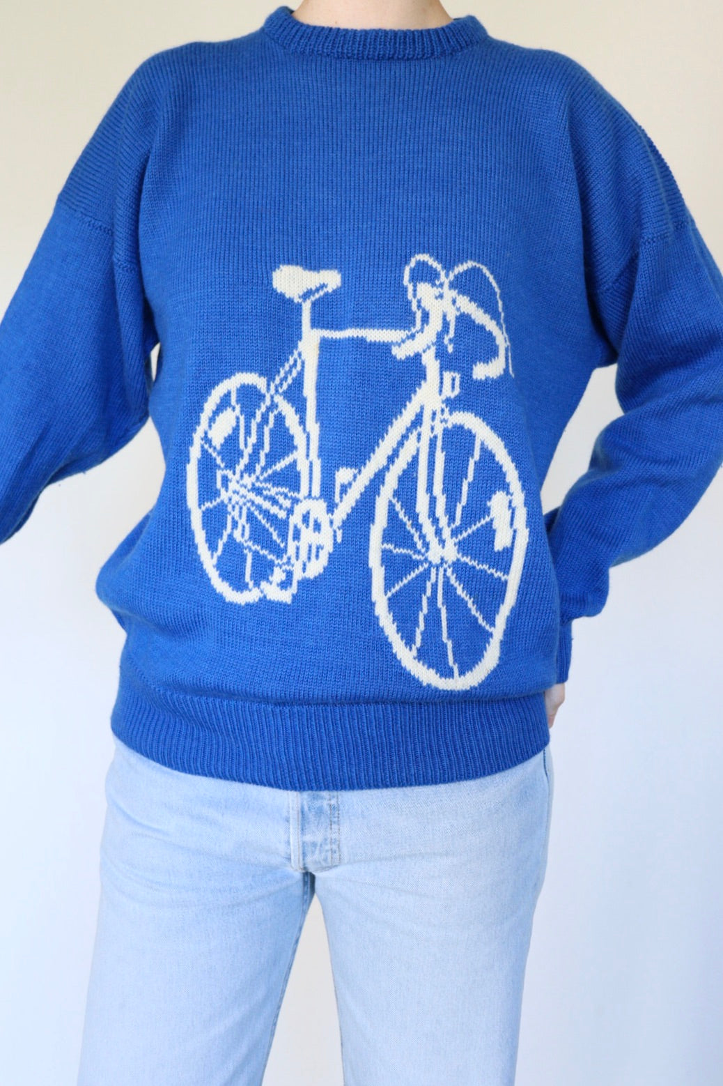 The Blue Bicycle - vintage sweater - S up to L