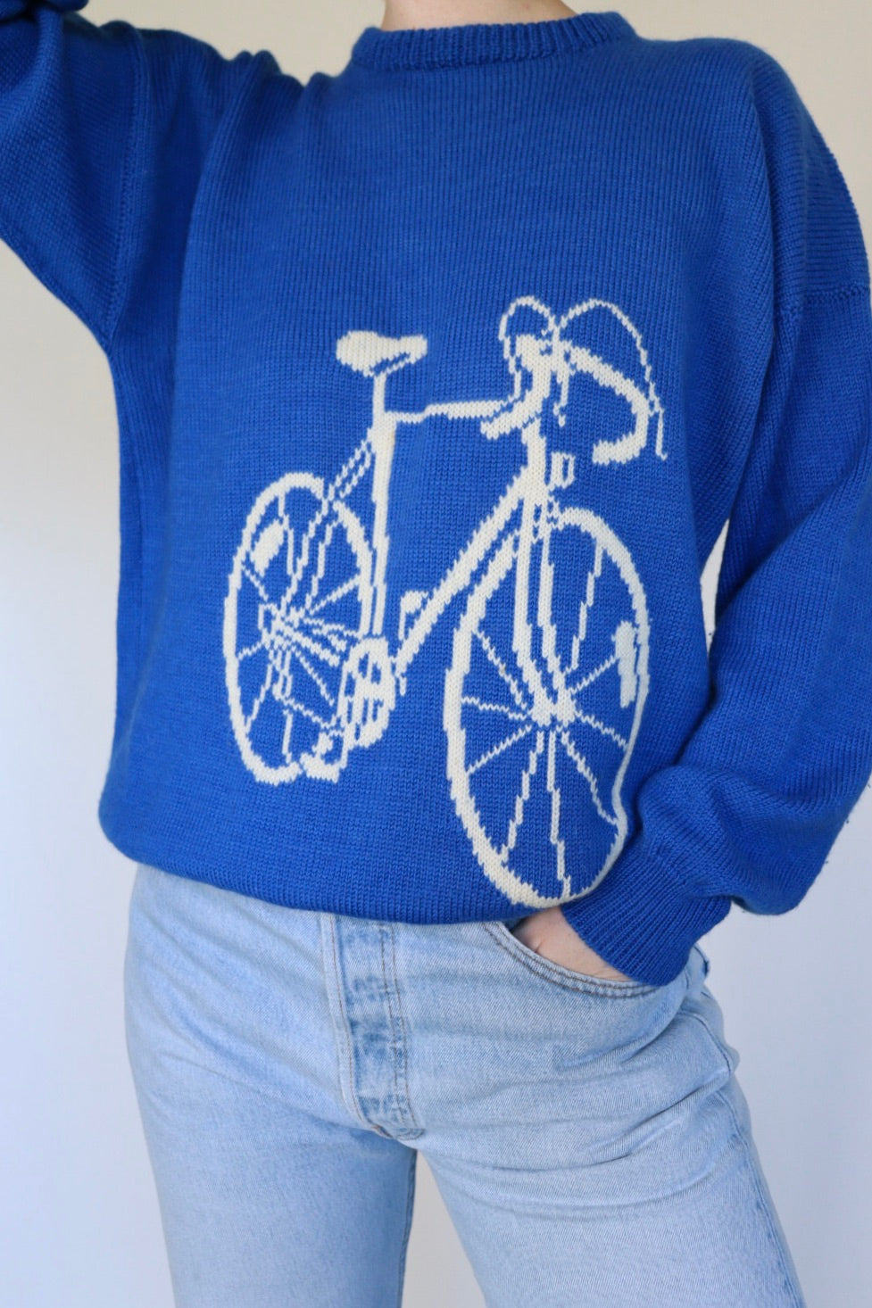 The Blue Bicycle - vintage sweater - S up to L